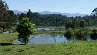 TharfieldEstate | Accommodation Harkerville