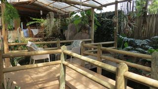 Dinkwe Lodge & Guest House | Rietfontein Accommodation