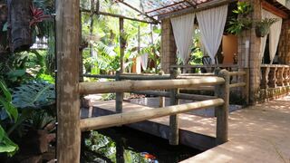 Dinkwe Lodge & Guest House | Lodges Rietfontein