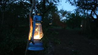 Tsakane Walking Safaris | Balule Nature Reserve Accommodation