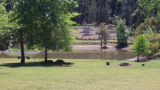 Wattle Chop Accommodation | Stutterheim Self-catering