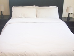 Palm Springs B&B and Self-catering | Butterworth Accommodation