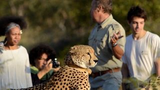Tshukudu Game Lodge | Accommodation Hoedspruit