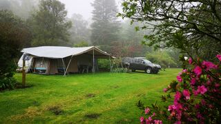 Mount Park Guest Farm | Dargle Accommodation