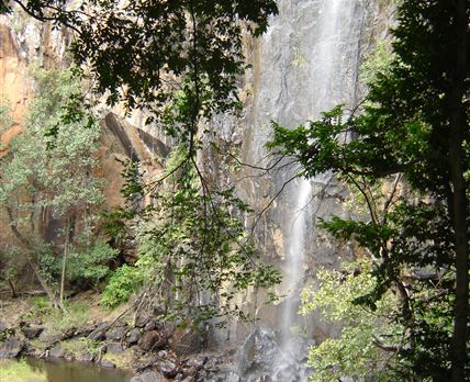 Mashovhela Bush Lodge