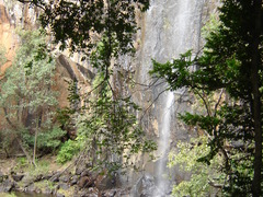 Mashovhela Bush Lodge | Makhado (Louis Trichardt) Accommodation