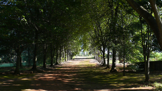 The Krantz Accommodation | Self-catering Sabie