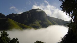 Forest Cottage | Accommodation Dullstroom