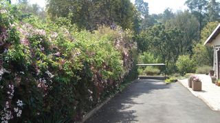 Taunton House Bed & Breakfast | Accommodation Wembley
