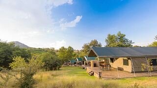 Bushwillow Tented Camp | Accommodation Muldersdrift