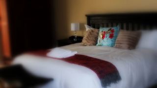 Royal Sheba Guesthouse | Barberton Accommodation