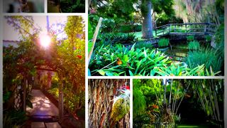 Royal Sheba Guesthouse | Accommodation Barberton