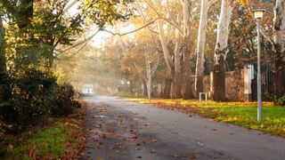 Twin Rivers Bed and Breakfast | Accommodation Irene