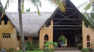 Turtle Cove Surf & Yoga Lounge | Praia do Tofo Accommodation