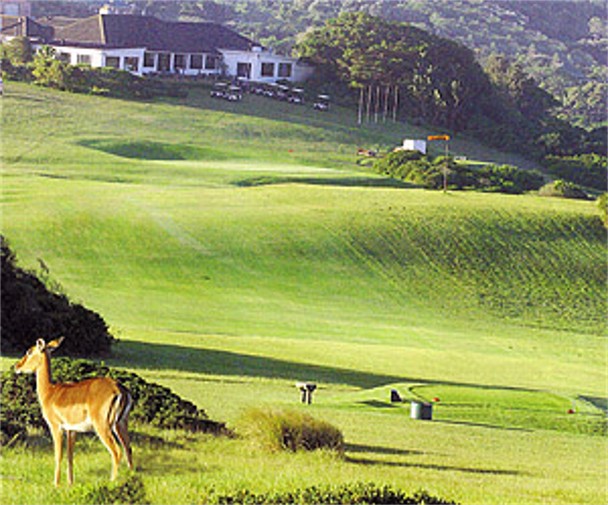 Royal Port Alfred Golf Club