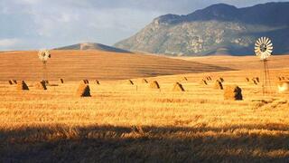De Gunst Guest Farm | Malmesbury Accommodation