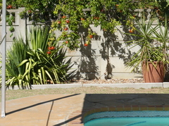 Hermon Guesthouse | Self-catering Hermon