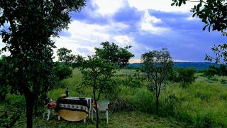 Monyane Bush Lodge | Lodges Bela Bela (Warmbaths)