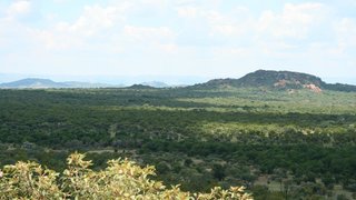 Cornwallis Game Ranch | Brits Self-catering