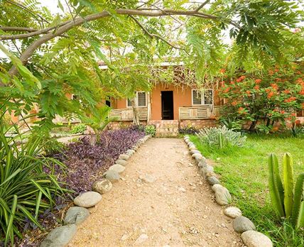 Simba Safari Camp
