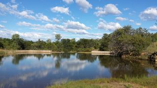 Pumula Lodge | Accommodation Modimolle (Nylstroom)