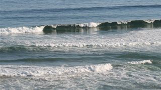 8 Abalone Place | Beachview Accommodation