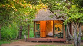 Shindzela Tented Safari Camp | Accommodation Timbavati Reserve