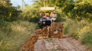 Deception Valley Lodge | Central Kalahari Game Reserve Accommodation