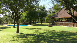 Dinonyane Bush Lodge | Dinokeng Accommodation