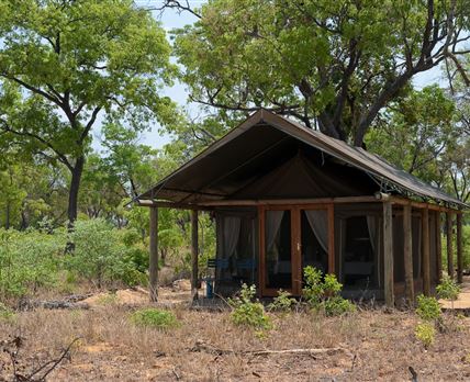 Wilderness Safaris Davison's Camp