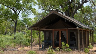 Wilderness Safaris Davison's Camp | Accommodation Hwange National Park