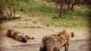 Old Vic Traveller's Inn | Accommodation Nelspruit