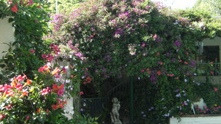 Village Green Guest House | Parkview Accommodation