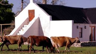 A Farm Story Country House | Stilbaai Accommodation