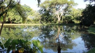 Tarentilos | Tzaneen Accommodation