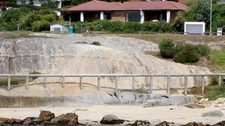 Froggy Pond B&B | Simons Town Accommodation