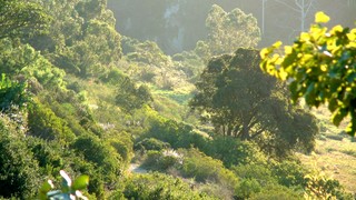 Villa Casa Guest House | Accommodation Walmer