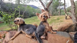Rockydrift Private Nature Reserve | Accommodation Waterval Boven
