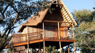 Bona Ntaba Tree House Lodge | Moditlo Private Game Reserve Self-catering