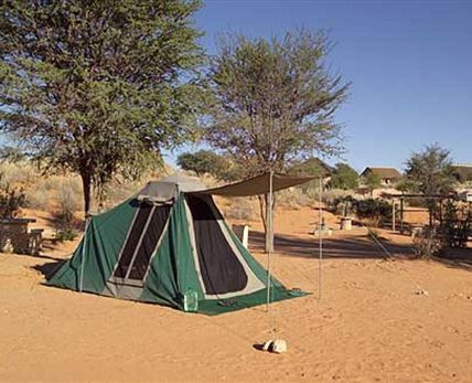 Twee Rivieren Rest Camp Kgalagadi Transfrontier Park SANParks