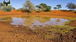 Haak-en-Steek Rest Camp Mokala National Park SANParks | Accommodation Mokala National Park