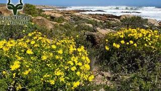 Namaqua National Park SANParks | Accommodation Namaqua National Park
