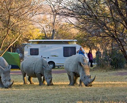 Bontle Camping Area Marakele National Park SANParks