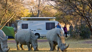Bontle Rest Camp Marakele National Park SANParks | Marakele National Park Accommodation