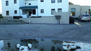 Grootvlei Guest Farm | Accommodation Lamberts Bay