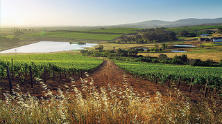 Burgherspost Wine Estate | World Specials