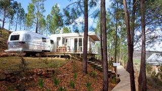 Old Mac Daddy | Elgin Lodges