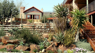 Afrique Boutique Hotel Ruimsig | Ruimsig Hotels