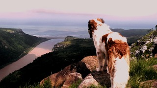 Jungle Monkey Backpackers | Self-catering Port St Johns