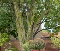 314 on Clark Guest House | Brooklyn Accommodation